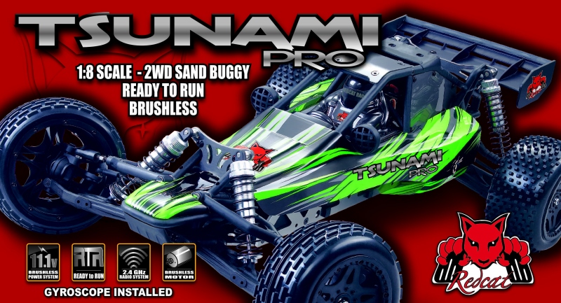 Redcat Racing Tsunami Pro RC Sand Buggy